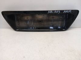 Mercedes-Benz C W203 Éclairage de plaque d'immatriculation A2037400380