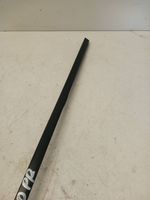 Volkswagen Phaeton Windshield trim 