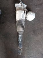 Volkswagen Phaeton Shock absorber/damper/air suspension 3D0616002M