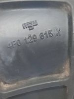 Audi A6 S6 C6 4F Žarna (-os)/ vamzdis (-džiai) 4f0129615K