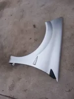 Renault Megane II Fender 