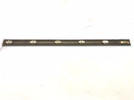 Mercedes-Benz C W202 Front door trim (molding) 2026900362