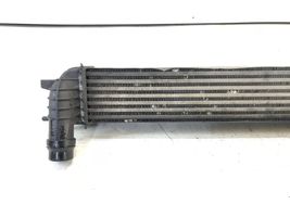 Renault Laguna III Chłodnica powietrza doładowującego / Intercooler 144610001n