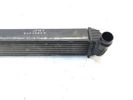 Renault Laguna III Chłodnica powietrza doładowującego / Intercooler 144610001n