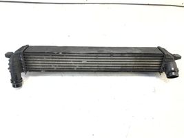 Renault Laguna III Chłodnica powietrza doładowującego / Intercooler 144610001n