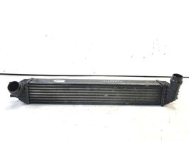 Renault Laguna III Chłodnica powietrza doładowującego / Intercooler 144610001n