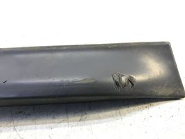 Audi A6 Allroad C5 Front door trim (molding) 