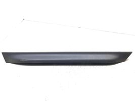 Audi A6 Allroad C5 Rear door trim (molding) 