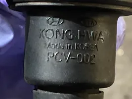 KIA Sportage Vakuumo vožtuvas PCV002