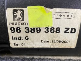 Peugeot 307 Tavarahyllyn kansi 96389368ZD
