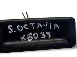 Skoda Octavia Mk2 (1Z) Atidarymo rankenėlė galinio dangčio (išorinė) CZ1Z0827