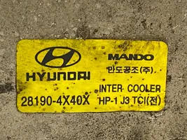 Hyundai Terracan Chłodnica powietrza doładowującego / Intercooler 281904X40X