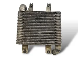 Hyundai Terracan Chłodnica powietrza doładowującego / Intercooler 281904X40X