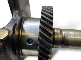 Hyundai Santa Fe Crankshaft D4EB