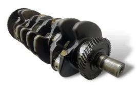 Hyundai Santa Fe Crankshaft D4EB