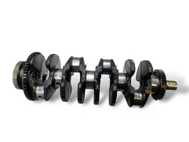 Hyundai Santa Fe Crankshaft D4EB