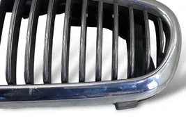 Jaguar X-Type Kühlergrill 2738P01