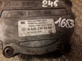 Mercedes-Benz B W245 Vakuumo pompa 6402300365