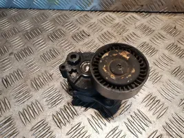 Mercedes-Benz CLC CL203 Napinacz paska alternatora 6112000570