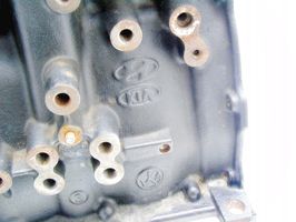 KIA Sorento Bloc moteur 211112F550