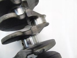 Ford Focus Crankshaft 