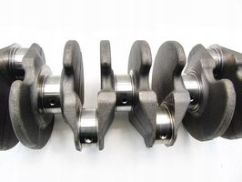 Ford Focus Crankshaft 