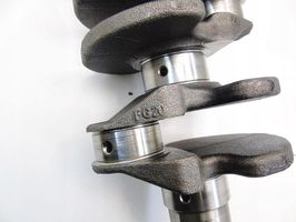 Ford Focus Crankshaft 