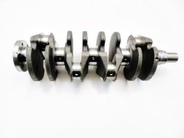 Ford Focus Crankshaft 