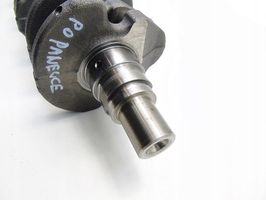 Ford Focus Crankshaft 