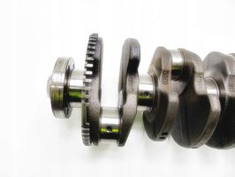 Volkswagen Beetle A5 Crankshaft 038C