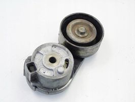 Cadillac STS Timing belt tensioner 12577652