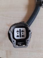 Toyota Land Cruiser (J120) Amortizatoriaus solenoidas 8924160010