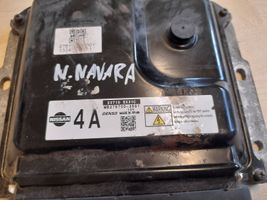 Nissan Navara D40 Calculateur moteur ECU 237105X31C