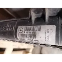 Mercedes-Benz A W169 Radiatore di raffreddamento A1695001704