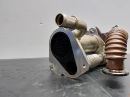 Dacia Sandero EGR valve cooler 