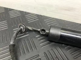 Porsche Cayenne (92A) Ammortizzatore portellone posteriore/bagagliaio 