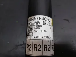 Toyota C-HR Ammortizzatore posteriore a sospensione pneumatica 