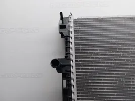 Volkswagen Crafter Aušinimo skysčio radiatorius 