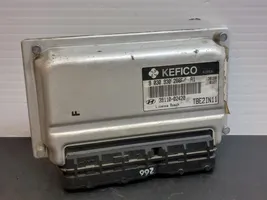 Hyundai Getz Engine control unit/module 