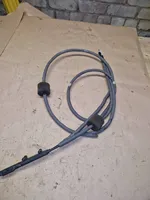 Mercedes-Benz Sprinter W906 Línea de cable de puerta de carga A9067600100