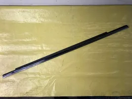 Mercedes-Benz B W245 Rear door glass trim molding A1697351565