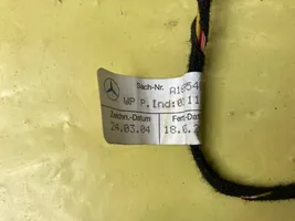 Mercedes-Benz B W245 Muu johtosarja A1695401006