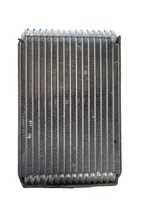 Hyundai Santa Fe Heater blower radiator 