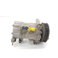 Peugeot 1007 Compressore aria condizionata (A/C) (pompa) 3404005545