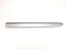 Mercedes-Benz E W211 Sliding door trim (molding) A2116901362