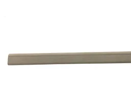 Mercedes-Benz E A207 Front sill trim cover A2076860436