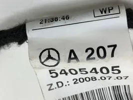 Mercedes-Benz E A207 Priekinių durų instaliacija A2075405405