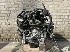 Honda Accord Engine K24A4