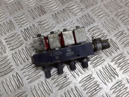 Volkswagen Golf IV LP gas injector 67R010104