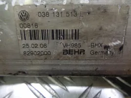 Volkswagen Sharan EGR aušintuvo kronšteinas 038131513L